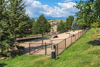 Pet agility park